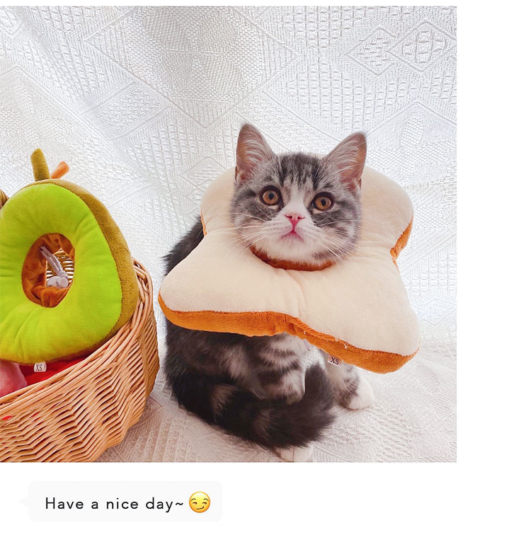 エリザベスカラー トースト 猫用 犬用 Sサイズ 傷舐め防止 サイズ調節可能 ソ