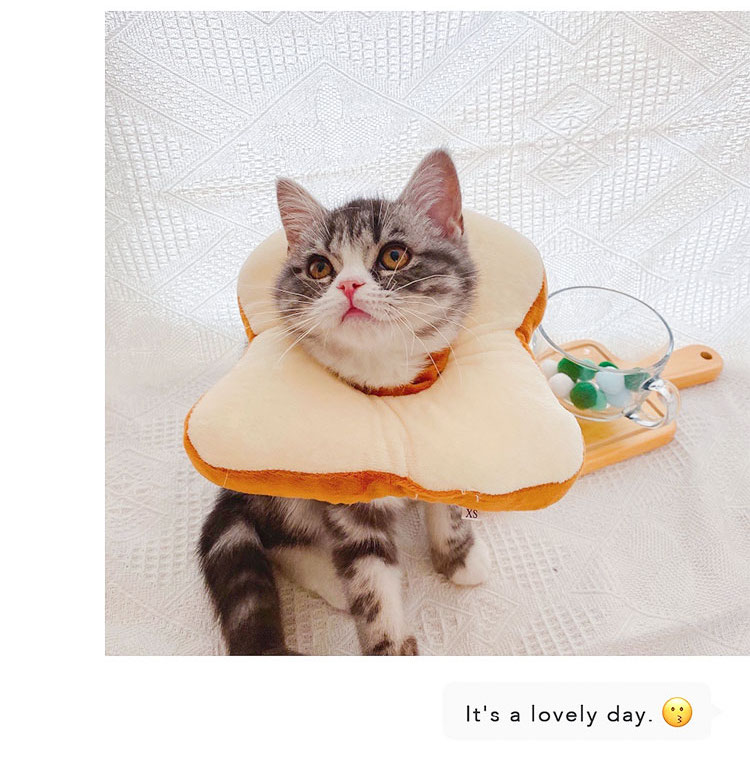 エリザベスカラー トースト 猫用 犬用 Sサイズ 傷舐め防止 サイズ調節可能 ソ
